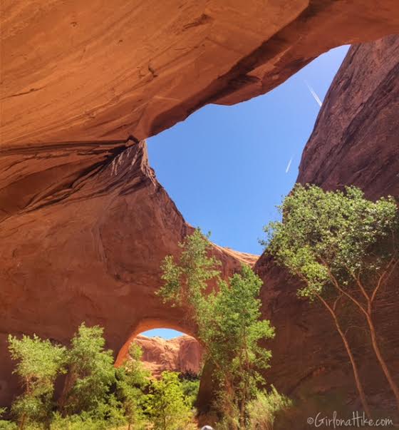 Backpacking Coyote Gulch, Utah