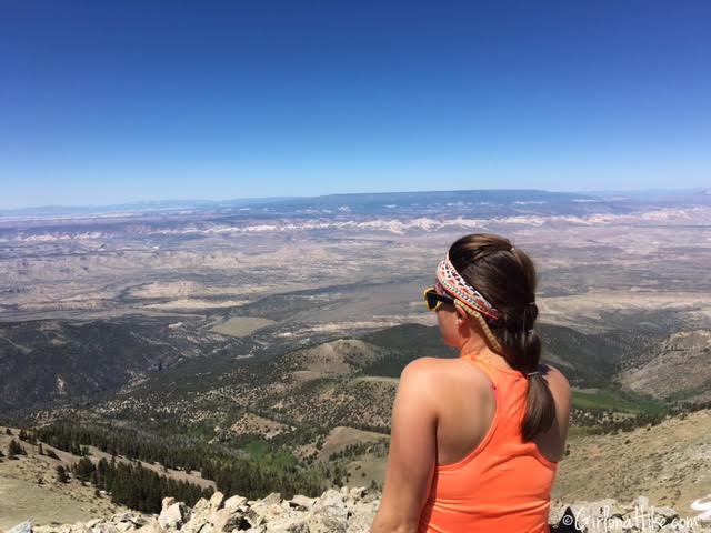 Hiking Mount Ellen & Mt. Ellen Peak