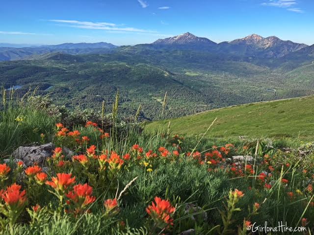 Hiking Santaquin Peak, Wasatch Peak Baggers