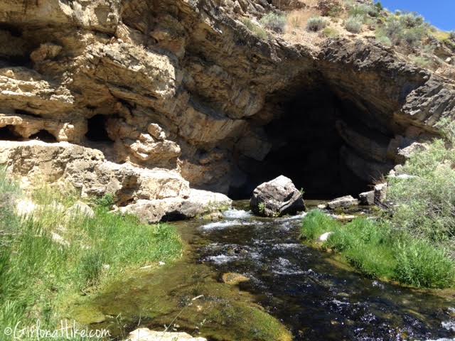 Rick's Spring, Logan Canyon, Utah