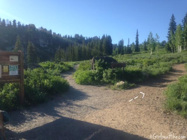 Backpacking to White Pine Lake, Logan Canyon, Utah