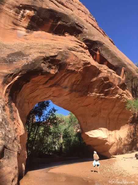 Backpacking Coyote Gulch, Utah