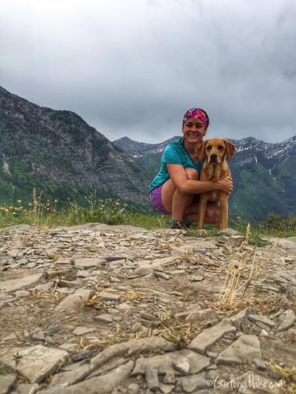Buffalo Peak, Utah, Hiking in Utah with Dogs