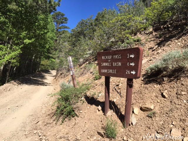 Hiking Mt. Pennell, Henry Mountains, Utah