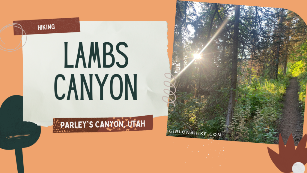 Hiking Lambs Canyon