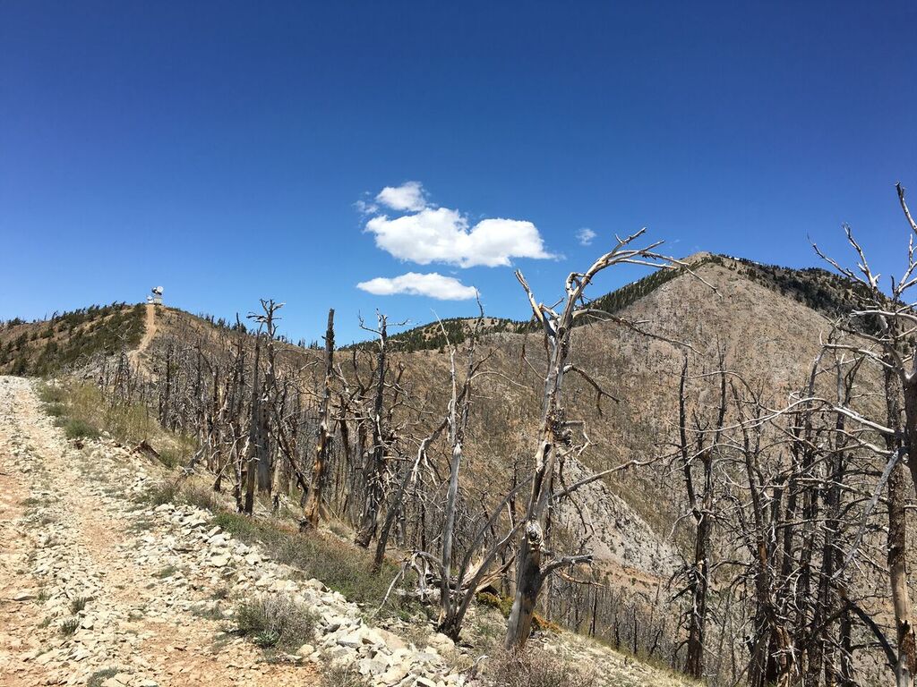 Hiking Mt. Pennell, Henry Mountains, Utah