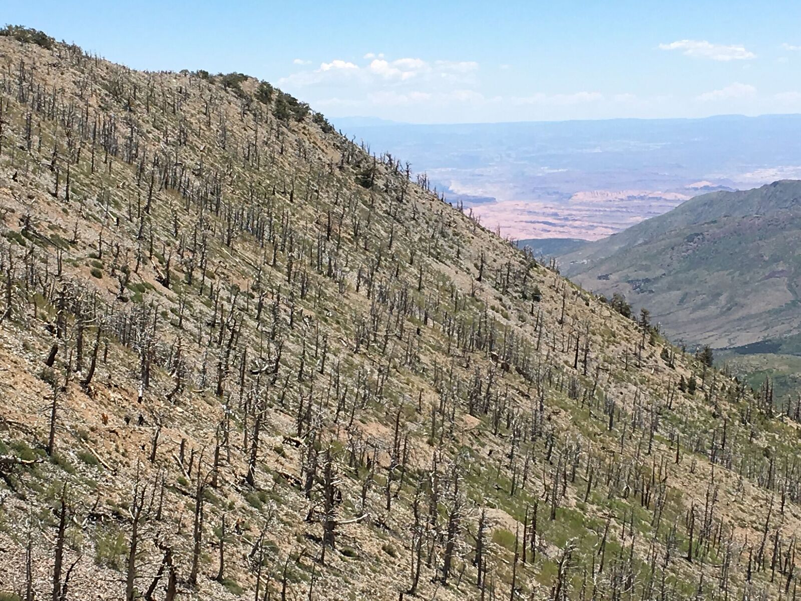 Hiking Mt. Pennell, Henry Mountains, Utah