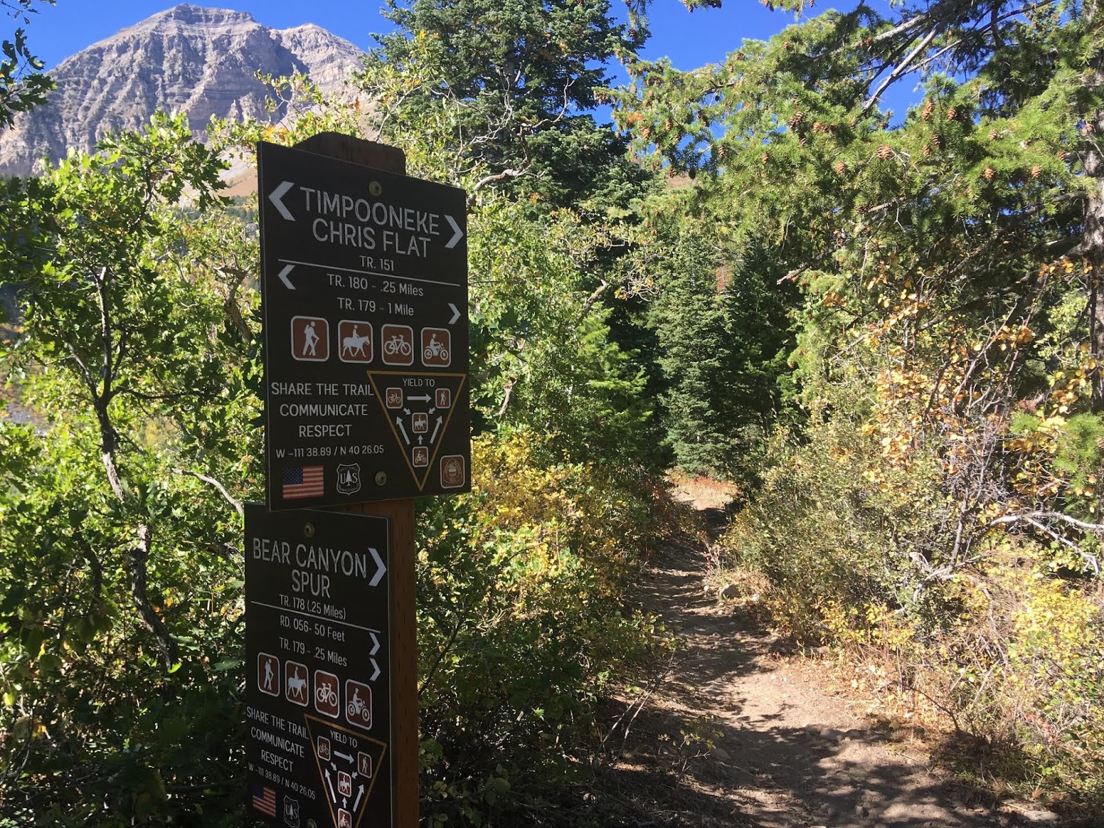 Hiking to Julie Andrews Meadow, American Fork Canyon, Utah, Hiking in Utah with Dogs