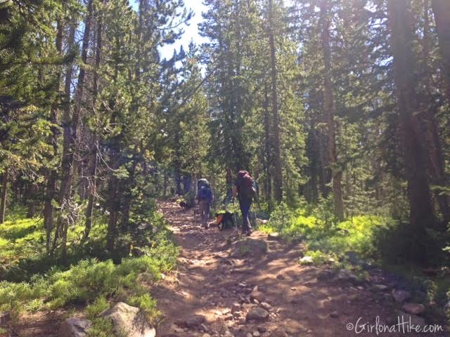 Backpacking to Rock Creek Basin, High Uintas