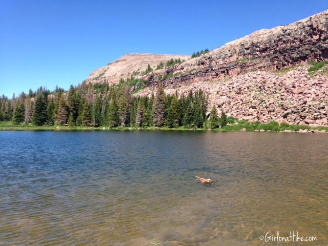 Backpacking to Rock Creek Basin, High Uintas