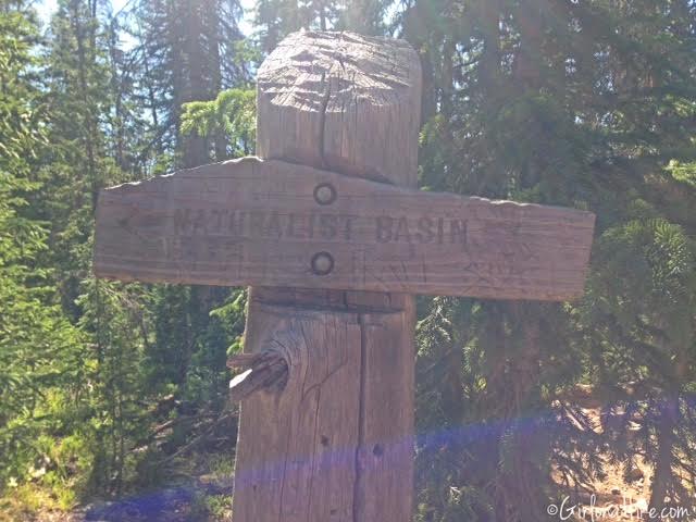 Backpacking to Rock Creek Basin, High Uintas