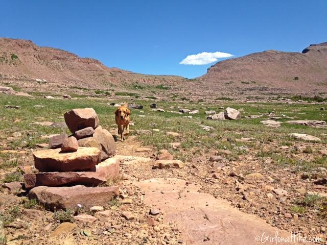 Backpacking to Rock Creek Basin, High Uintas, Dead Horse Pass