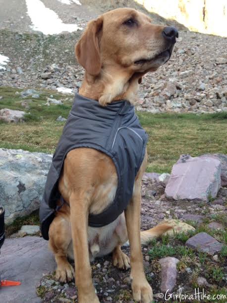 ruffwear quinzee sale