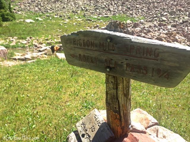 Backpacking to Rock Creek Basin, High Uintas, Pigeon Milk Springs