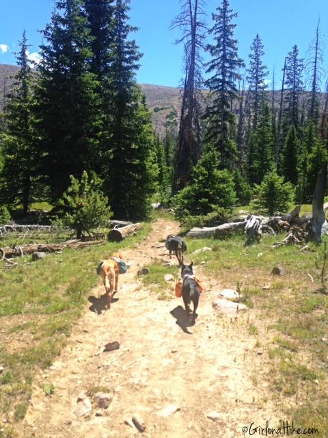 Backpacking to Rock Creek Basin, High Uintas