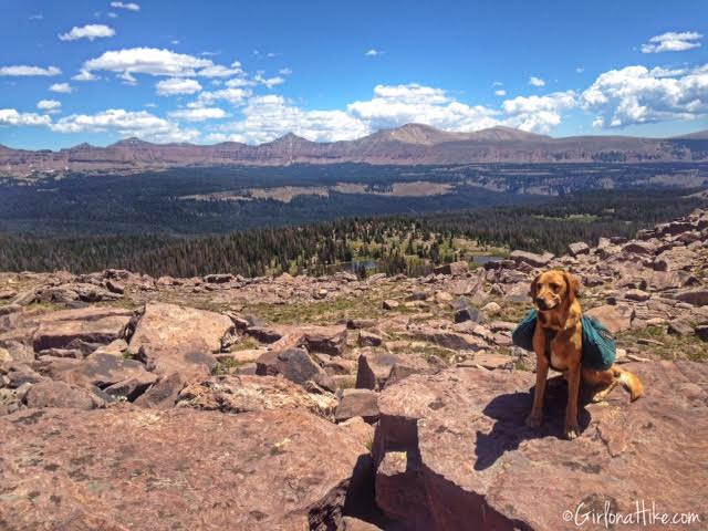 Backpacking to Rock Creek Basin, High Uintas, Rocky Sea Pass