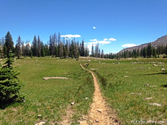 Backpacking to Rock Creek Basin, High Uintas