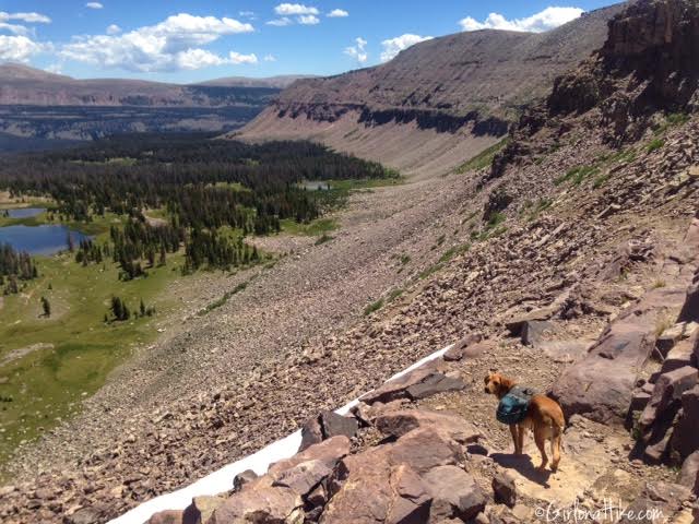 Backpacking to Rock Creek Basin, High Uintas, Rocky Sea Pass