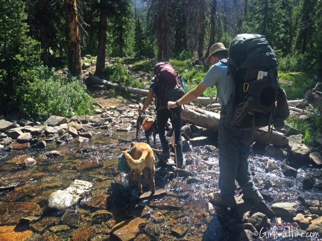 Backpacking to Rock Creek Basin, High Uintas