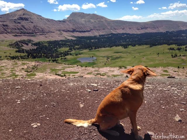 Backpacking to Rock Creek Basin, High Uintas, Dead Horse Pass