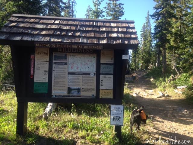 Backpacking to Rock Creek Basin, High Uintas