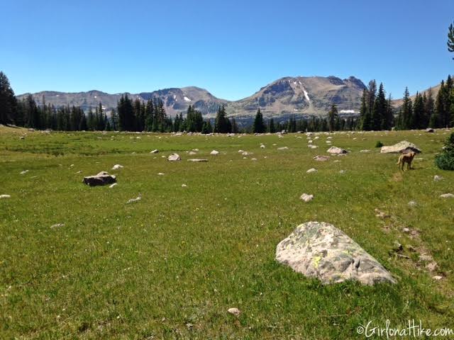 Backpacking to Rock Creek Basin, High Uintas