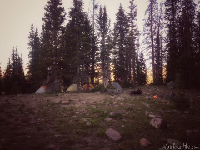 How to Camp for FREE In Utah! Rock Creek Basin, Uintas