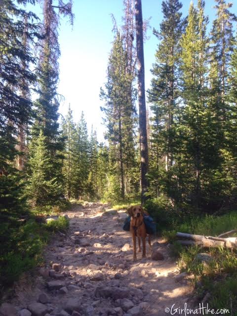 Backpacking to Rock Creek Basin, High Uintas