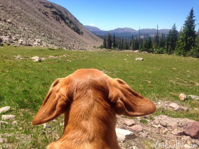 Backpacking to Rock Creek Basin, High Uintas