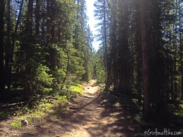 Backpacking to Rock Creek Basin, High Uintas