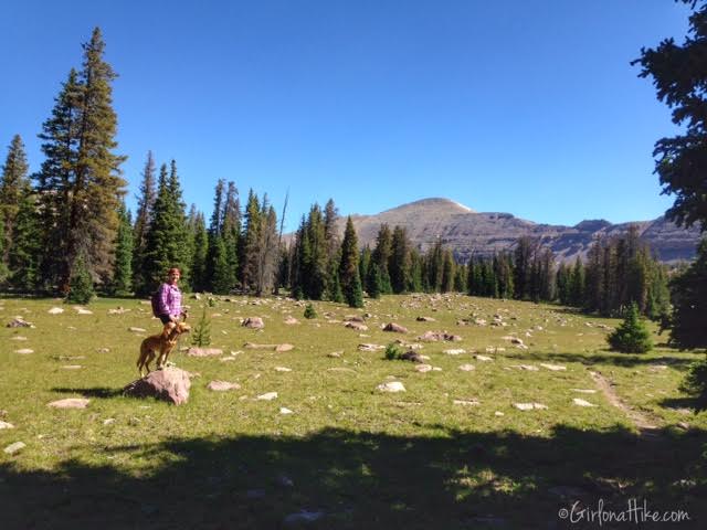 Backpacking to Rock Creek Basin, High Uintas