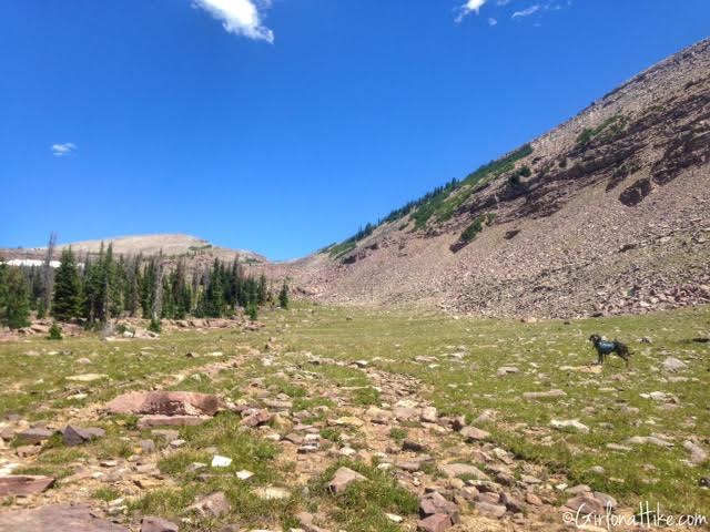 Backpacking to Rock Creek Basin, High Uintas, Rocky Sea Pass