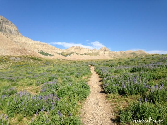 Hiking Mt. Timpanogos via Aspen Grove