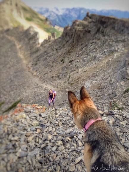 Hiking Mt. Timpanogos via Aspen Grove