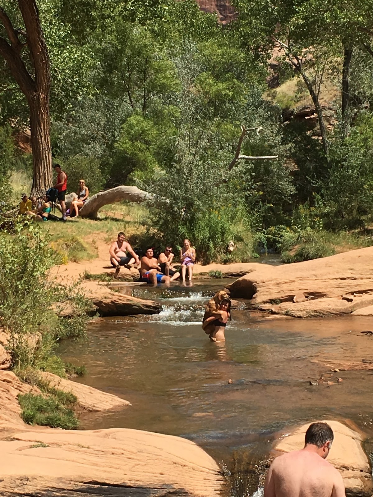 Hiking to the North Fork of Mill Creek, Moab, UT, Hiking in Utah with Dogs