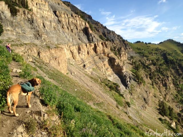 Hiking Mt. Timpanogos via Aspen Grove, Primrose Cirque