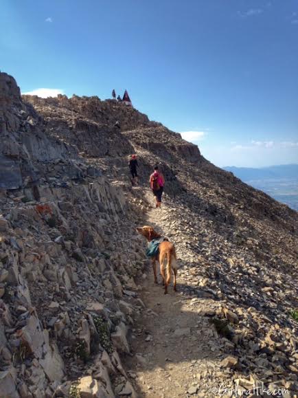 Hiking Mt. Timpanogos via Aspen Grove