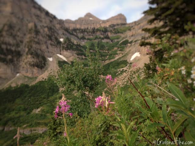 Hiking Mt. Timpanogos via Aspen Grove, Primrose Cirque