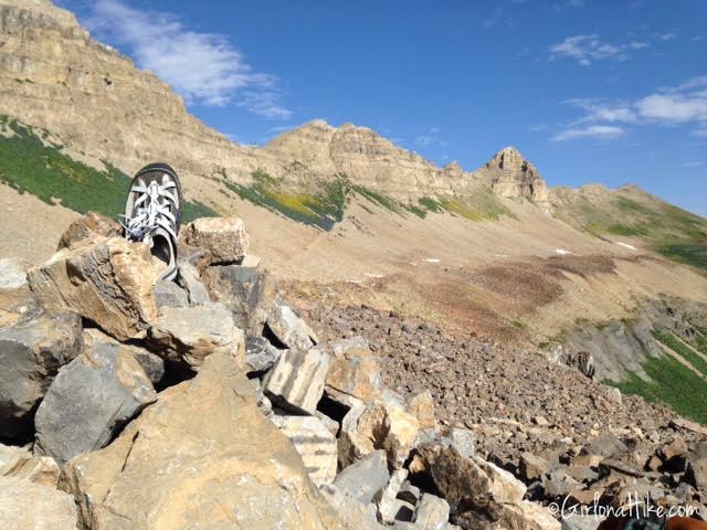 Hiking Mt. Timpanogos via Aspen Grove