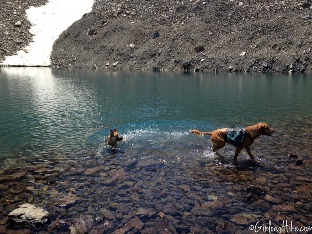 Hiking Mt. Timpanogos via Aspen Grove