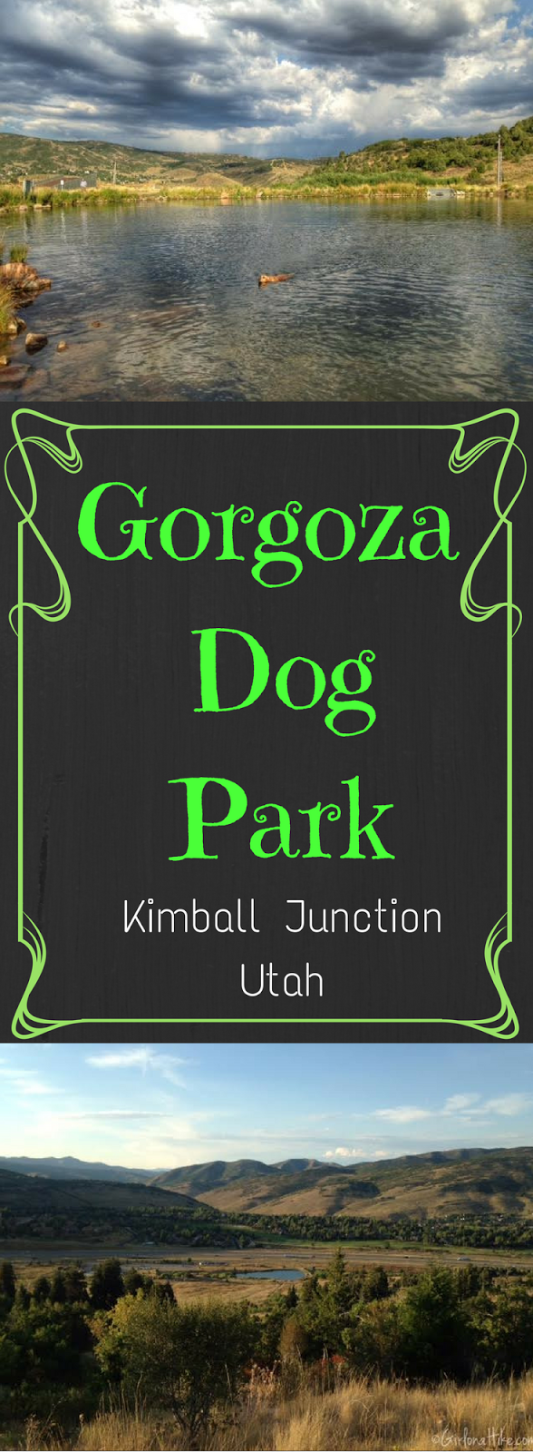 Gorgoza Dog Park, Kimball Junction, Utah, Hiking in Utah with Dogs
