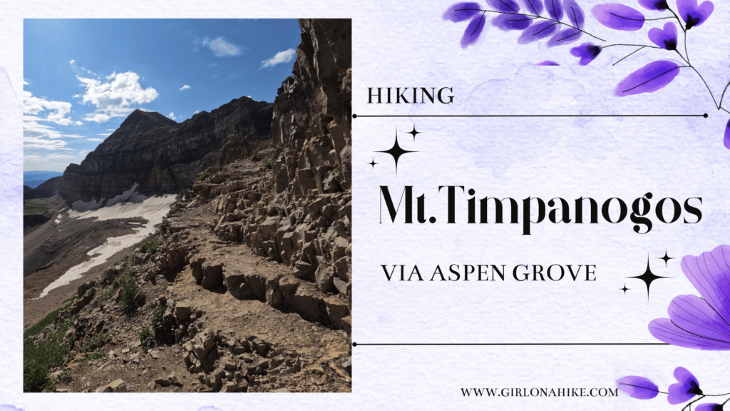 Hiking Mt. Timpanogos via Aspen Grove