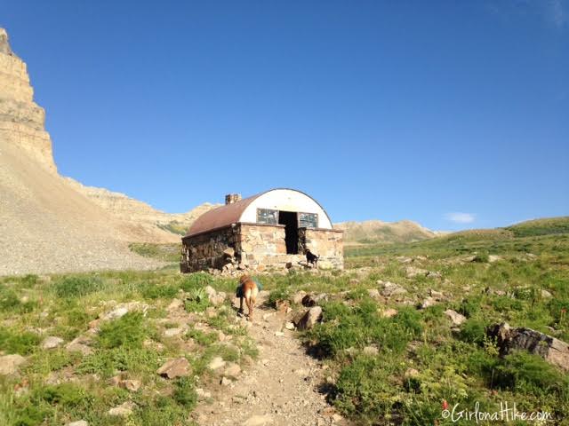 Hiking Mt. Timpanogos via Aspen Grove