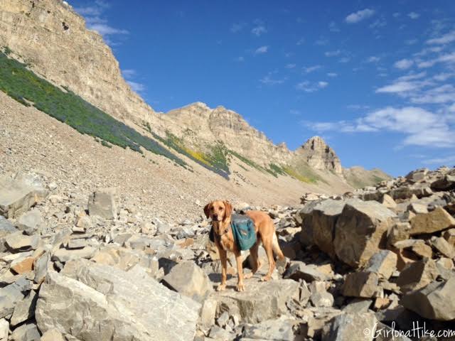 Hiking Mt. Timpanogos via Aspen Grove