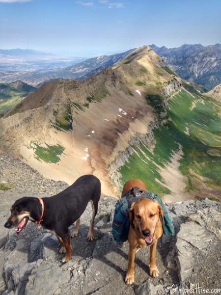 Hiking Mt. Timpanogos via Aspen Grove