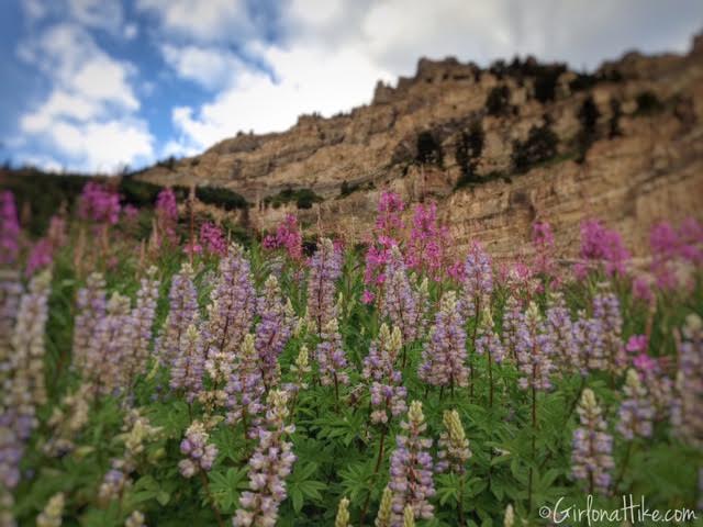 Hiking Mt. Timpanogos via Aspen Grove, Primrose Cirque