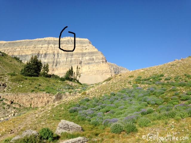 Hiking Mt. Timpanogos via Aspen Grove