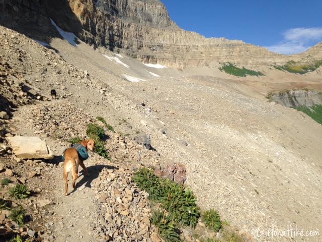 Hiking Mt. Timpanogos via Aspen Grove