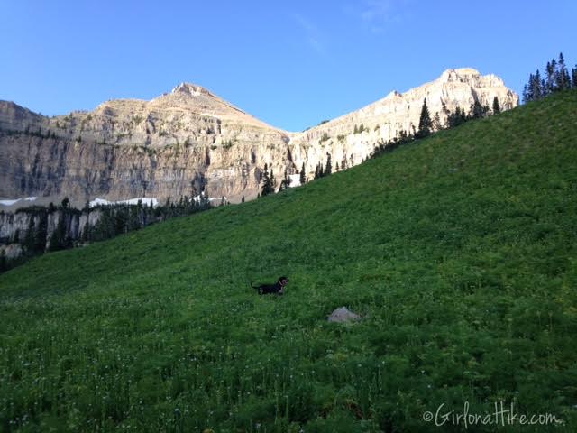 Hiking Mt. Timpanogos via Aspen Grove, Primrose Cirque