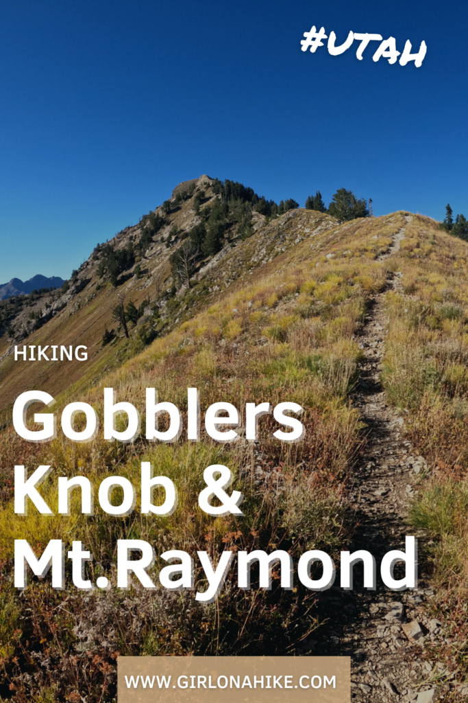 Hiking to Gobblers Knob and Mt. Raymond